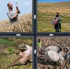 4 Pics 1 Word answers and cheats level 458