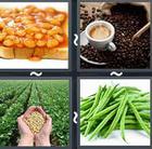 4 Pics 1 Word answers and cheats level 2447
