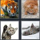 4 Pics 1 Word answers and cheats level 3493