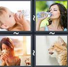 4 Pics 1 Word answers and cheats level 2467