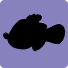 Shadow Quiz answers and cheats level 78