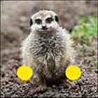 100 Pics answers and cheats level 51-100
