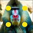 100 Pics answers and cheats level 51-100