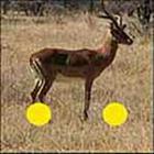100 Pics answers and cheats level 51-100