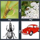 4 Pics 1 Word answers and cheats level 2348