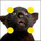 100 Pics answers and cheats level 51-100