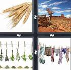 4 Pics 1 Word answers and cheats level 61