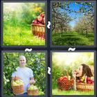 4 Pics 1 Word answers and cheats level 3175