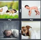 4 Pics 1 Word answers and cheats level 2658