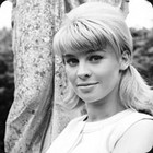 Guess the 60s level 40-2