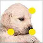 100 Pics answers and cheats level 1-50
