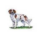 100 Pics answers and cheats level 51-100