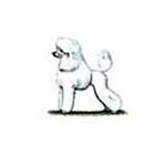 100 Pics answers and cheats level 51-100