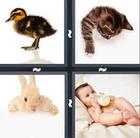 4 Pics 1 Word answers and cheats level 692