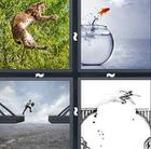 4 Pics 1 Word answers and cheats level 899