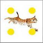 100 Pics answers and cheats level 51-100
