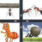 4 Pics 1 Word answers and cheats level 1367
