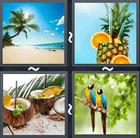 4 Pics 1 Word answers and cheats level 2088
