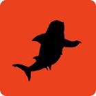 Shadow Quiz answers and cheats level 398