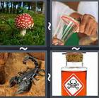 4 Pics 1 Word answers and cheats level 2740