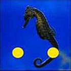 100 Pics answers and cheats level 51-100