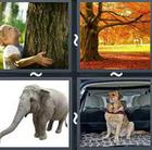 4 Pics 1 Word answers and cheats level 2527