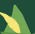 Quiz Mountain answers Movies pack level 36