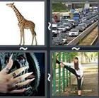 4 Pics 1 Word answers and cheats level 2564