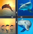 4 Pics 1 Word answers and cheats level 1365