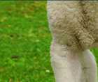 Zoomed In answers and cheats level 101-110