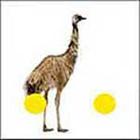 100 Pics answers and cheats level 1-50