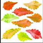 100 Pics answers and cheats level 51-100