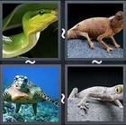 4 Pics 1 Word answers and cheats level 2268