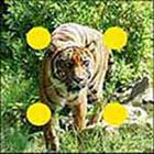 100 Pics answers and cheats level 51-100