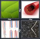 4 Pics 1 Word answers and cheats level 1681