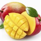 Close Up Food answers and cheats level 11-9