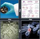 4 Pics 1 Word answers and cheats level 2421