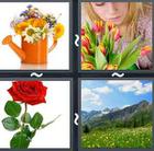 4 Pics 1 Word answers and cheats level 2934