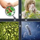 4 Pics 1 Word answers and cheats level 1255