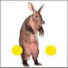 100 Pics answers and cheats level 51-100