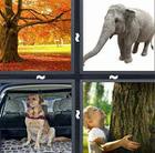 4 Pics 1 Word answers and cheats level 62