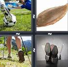 4 Pics 1 Word answers and cheats level 229