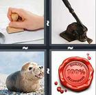 4 Pics 1 Word answers and cheats level 204