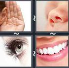 4 Pics 1 Word answers and cheats level 2611