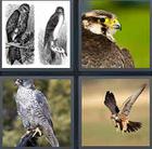 4 Pics 1 Word answers and cheats level 3520
