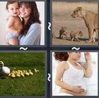 4 Pics 1 Word answers and cheats level 2448