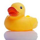 Close Up Pics answers and cheats level 33-4