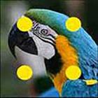 100 Pics answers and cheats level 51-100