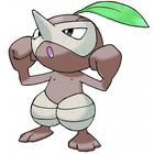 Poke Icon answers and cheats level 81-90