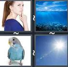 4 Pics 1 Word answers and cheats level 2562